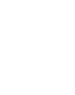 Velocity Ventures